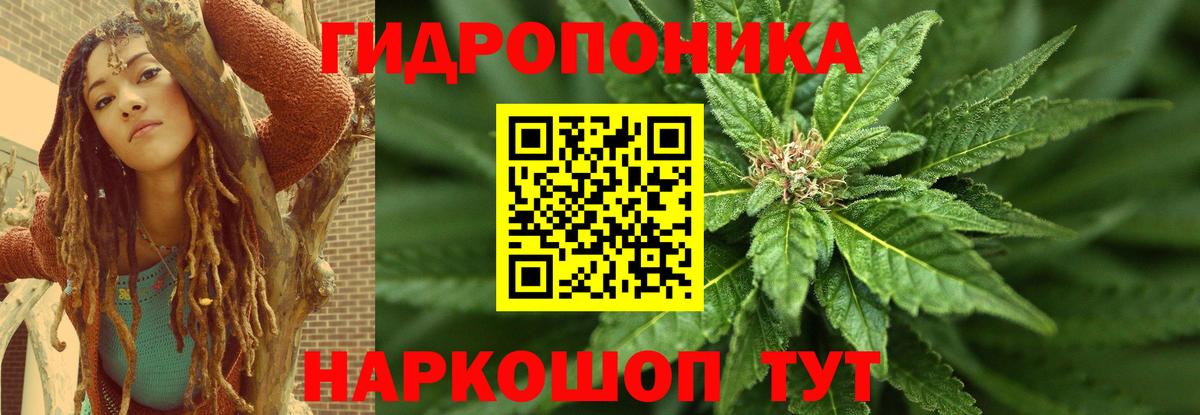 Шишки марихуана AK-47  Вход с VPN  Бошки Шишки индика  МАРИХУАНА Ganja  Чернушка 